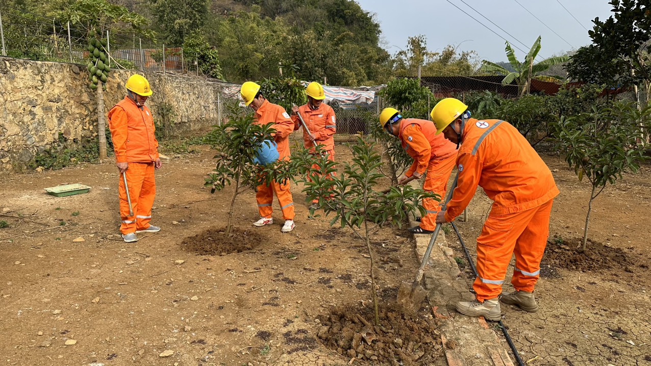Xí nghiệp Dịch vụ Điện lực Sơn La hưởng ứng phong trào “Tết trồng cây” nhân dịp đầu xuân Giáp Thìn 2024 